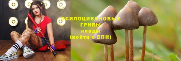 МДМА Няндома