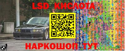 эйфоретик Аргун