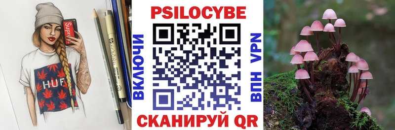 где можно купить   Краснокаменск  Галлюциногенные грибы GOLDEN TEACHER 