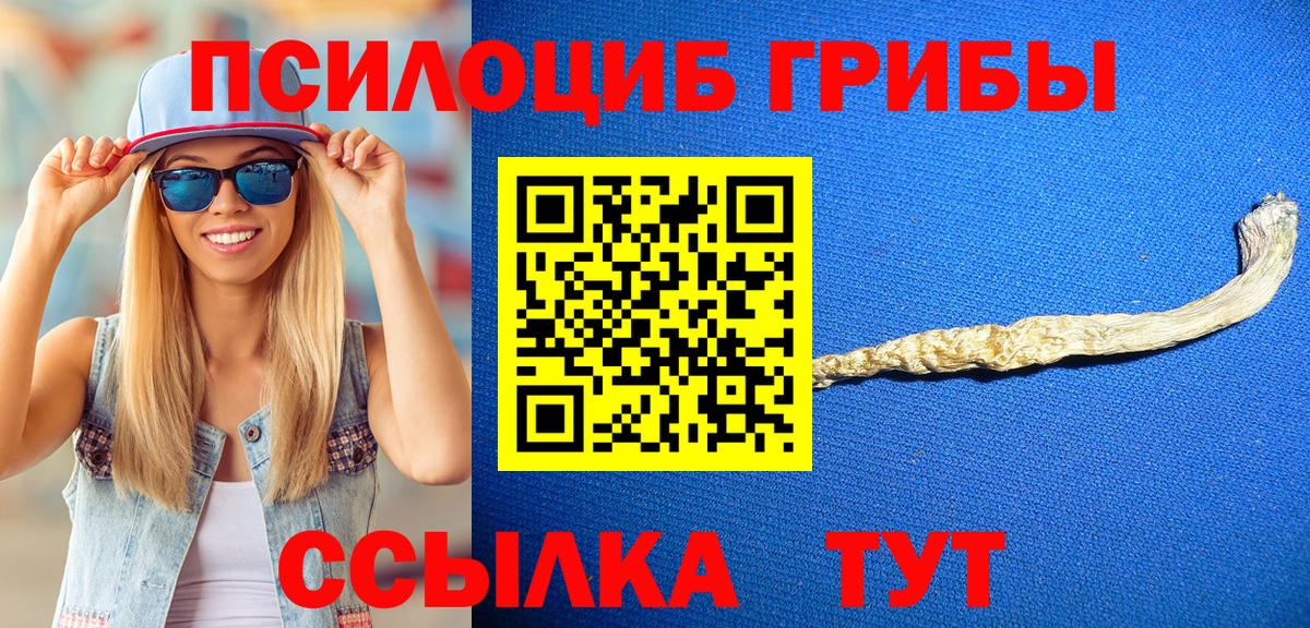 Галлюциногенные грибы Cubensis  Псилоцибиновые грибы Psilocybine cubensis  Краснокаменск 