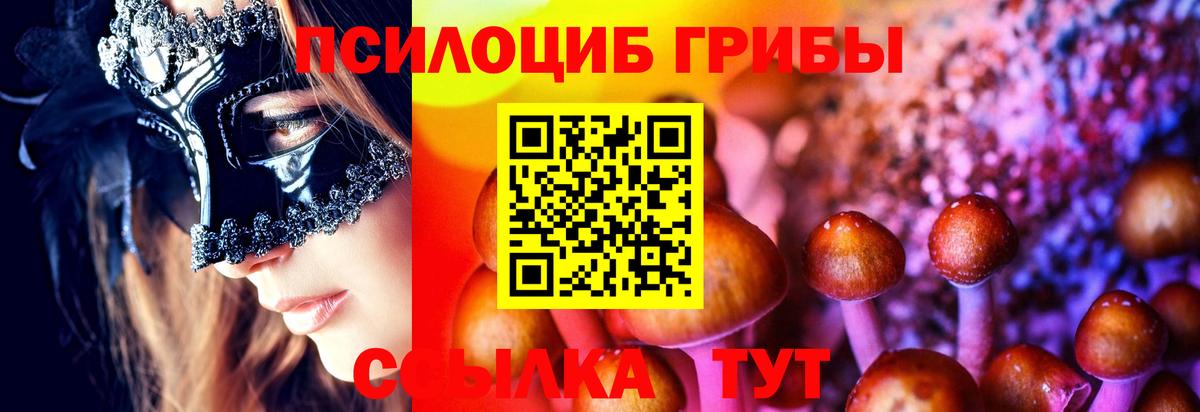 Псилоцибиновые грибы Cubensis  Псилоцибиновые грибы MAGIC MUSHROOMS  Краснокаменск  Вход с VPN 
